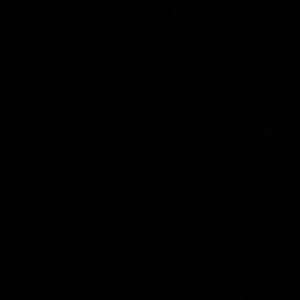 Meet your Posher, Cierra